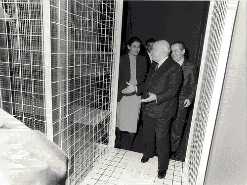 Image for Visita del sen. Amintore Fanfani alla mostra Il progetto domestico