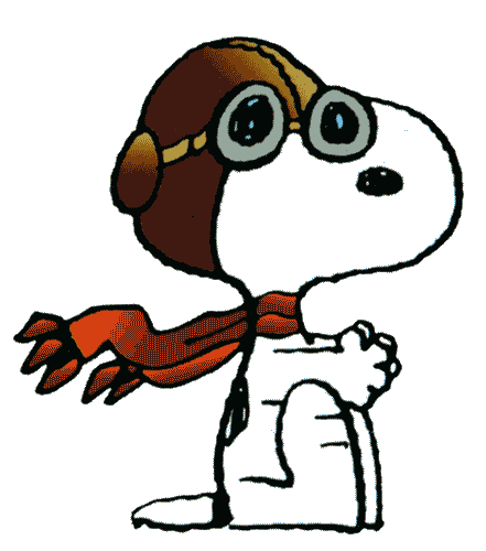 Image for XX Triennale - La memoria e il futuro - Gli occhiali presi sul serio - Snoopy