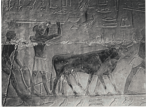 Image for Il luogo del lavoro - Prima della rivoluzione industriale - Fatica manualenell'antico Egitto - Graffiti egizi