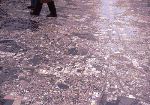 Image for XX Triennale - La città infinita