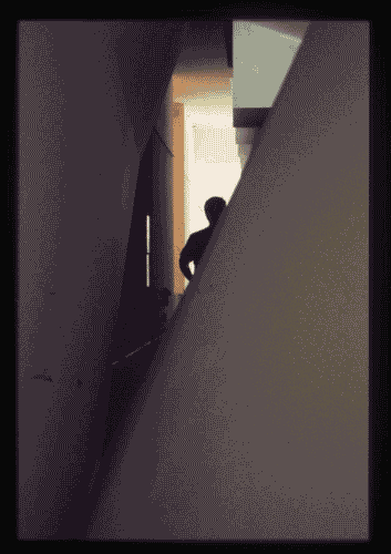 Image for XIX Triennale - Mostra introduttiva interna - Gli immaginari della differenza - "Delirium" progetto di Peter Eisenman