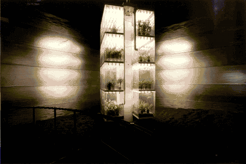 Image for XVIII Triennale - Mostre tematiche - La natura delle cose - Fitotrone