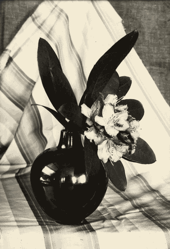 Image for IV Triennale - Galleria della ceramica - Sala delle ceramiche di Laveno - Vaso di Guido Andlovitz