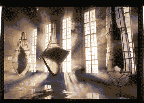 Image for Zygonix, Demodex, Ixodes