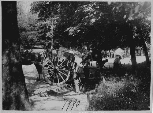 Image for Lavori nel Parco Sempione