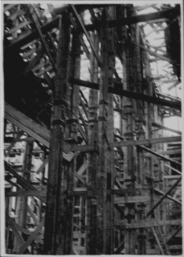 Image for Lavori di costruzione del Palazzo dell'Arte