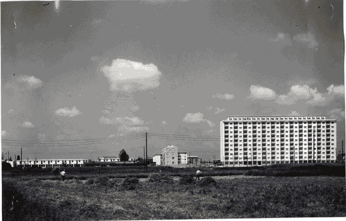 Image for IX Triennale - Quartiere sperimentale della Triennale di Milano (QT8)