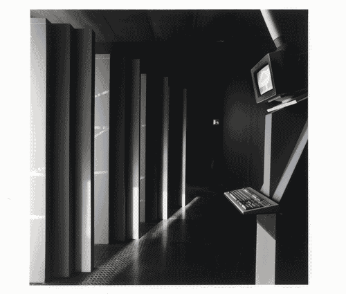 Image for Sezione della Statistica (la misura del quantificabile e la trascrizione dell'invisibile)