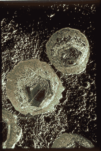 Image for Mostra su Tapio Wirkkala - Bicchiere da tavola in vetro