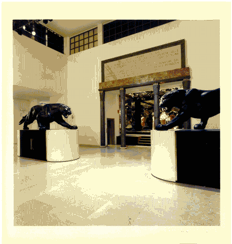 Image for Krizia. Una storia