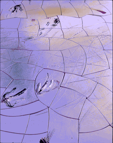 Image for La casa delle rondini