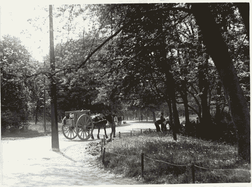 Image for Lavori di sistemazione del parco Sempione