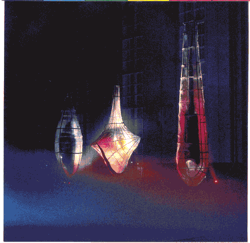 Image for "Zygonyx", "Demodex" e "Ixodes" per la sezione della Finlandia