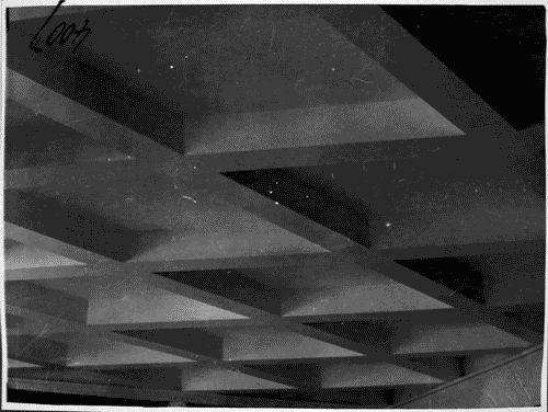 Image for Soffitto del ristorante