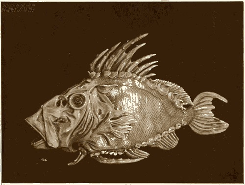 Image for II Biennale - Sezione marchigiana - Sala di Ferruccio Mengaroni - Pesce san Pietro in ceramica