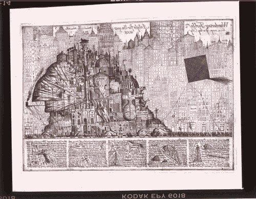 Image for Tartaruga vagante nel pavimento di una grande città di Alexandre Brodsky