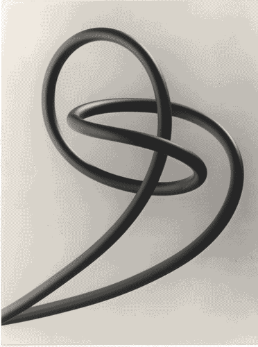 Image for Il luogo del lavoro - Il presente possibile e da pretendere - La casa della topologia - Nodo di Attilio Pierelli