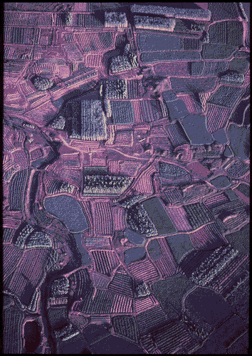 Image for XVIII Triennale - Palazzo dell'Arte - Mostra fotografica Una nuova rappresentazione della geografia. La prospettiva a volo d'uccello di Georg Gerster - Cina, Campi e giardini nella regione di Jiangxi