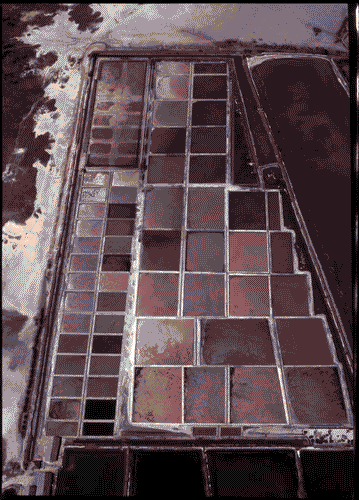 Image for XVIII Triennale - Palazzo dell'Arte - Mostra fotografica Una nuova rappresentazione della geografia. La prospettiva a volo d'uccello di Georg Gerster - Tanzania, saline