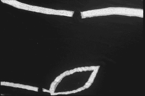 Image for Tessuto in lino