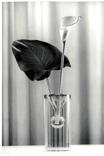 Image for X Triennale - Forma scandinava - Finlandia - Vaso in vetro - Tapio Wirkkala