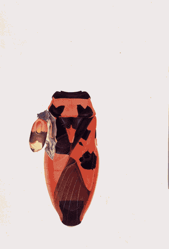 Image for XVIII Triennale - Partecipazioni internazionali - Svizzera. Dopo Cernobyl- Cornelia Hesse-Honegger, Acquarello