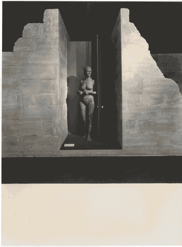 Image for Il progetto domestico - La rovina dell'appartamento di George Segal