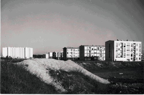 Image for Quartiere sperimentale della Triennale di Milano (QT8)