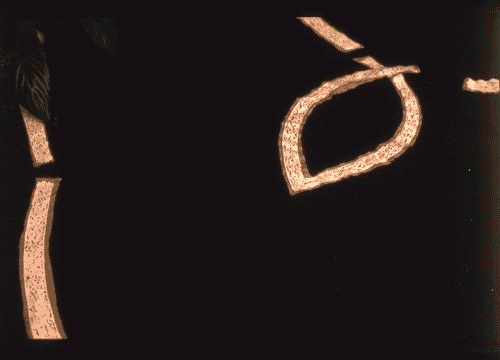 Image for Tessuto in lino