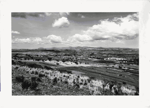 Image for XVII Triennale - Le città del mondo e il futuro delle metropoli - Partecipazioni internazionali - Sezione Etiopia