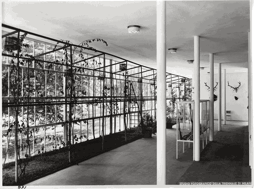 Image for VII Triennale - Mostre temporanee - Mostra della caccia, della pesca e del campeggio