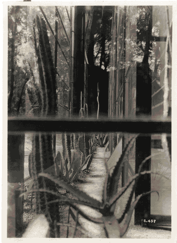 Image for IV Triennale - Giardino - La casa elettrica di Luigi Figini e Gino Pollini