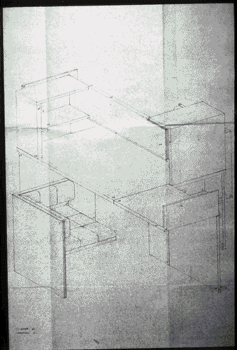Image for Le affinità elettive - Il viaggio parallelo del libro e della vita