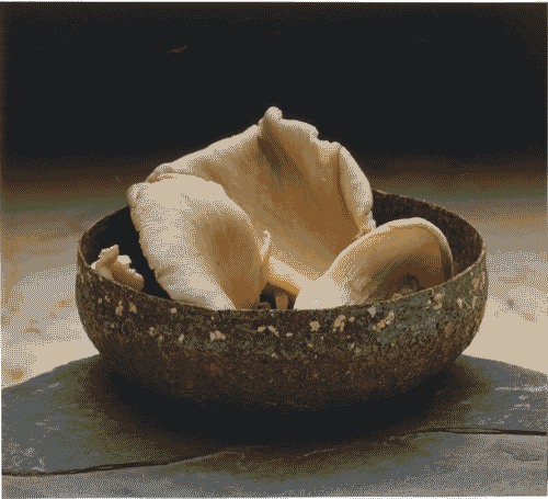 Image for XVIII Triennale - Partecipazioni internazionali - ICSID. I tre fondamenti dell'ICSID - Materiale biodegradabile ottenuto da foglie triturate con amido