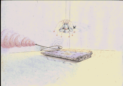 Image for XVIII Triennale - Mostre tematiche - Naturale/ Virtuale - Laboratori naturali - Soffio di natura, di Riccardo Dalisi