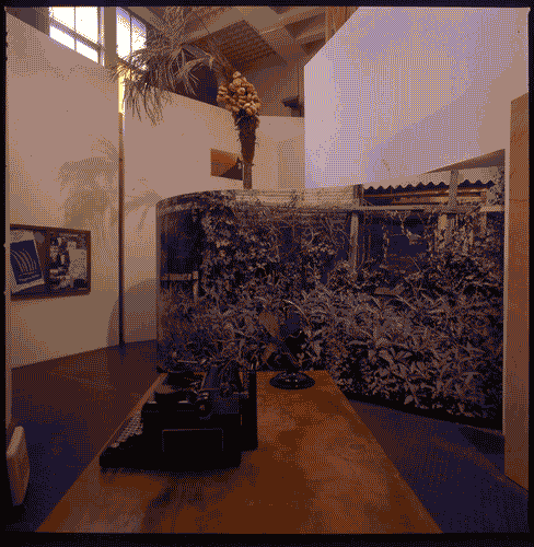 Image for XVII Triennale - Le città del mondo e il futuro delle metropoli - Oltre la città la metropoli - Sezione Paesaggio (la natura fra sito e artificio) - "Un viaggio a Tahiti" di Lucius e Anne Marie Burckhardt