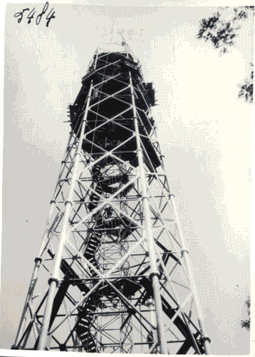 Image for Lavori di costruzione della Torre Littoria