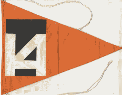 Image for Bandierina triangolare con logo