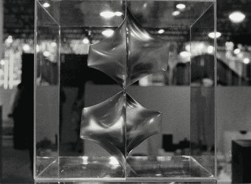 Image for XIV Triennale - Padiglione nel Parco Sempione - Espressioni e produzioni italiane - Seconda zona - Daniele Usellini