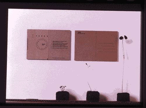 Image for XVIII Triennale - Partecipazioni internazionali - ICSID. I tre fondamenti dell'ICSID - Cartolina Terra: istruzioni per l'uso di Paola Garbuglio e Alessandro Colombo