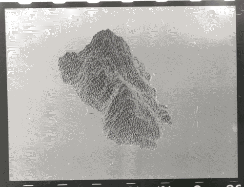 Image for XVII Triennale - Le città del mondo e il futuro delle metropoli - Sezione Statistica (la misura del quantificabile e la trascrizione dell'invisibile)