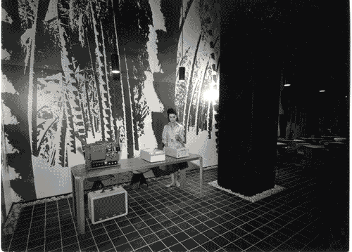 Image for Sezione del Giappone