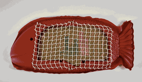 Image for Rumore del tempo