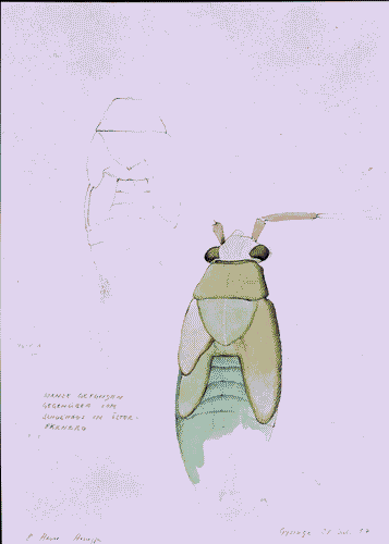 Image for XVIII Triennale - Partecipazioni internazionali - Svizzera. Dopo Cernobyl- Cornelia Hesse-Honegger, Acquarello