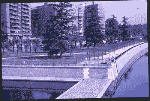 Image for XVII Triennale - Le città del mondo e il futuro delle metropoli - Partecipazioni internazionali - Sezione Spagna - Madrid, Parco lungo il Monzanarre