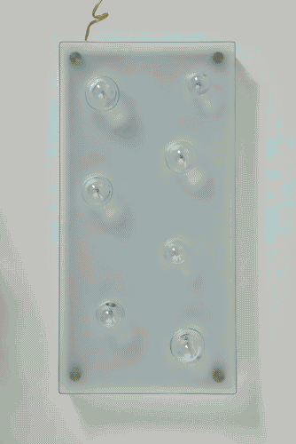 Image for I camini delle fate