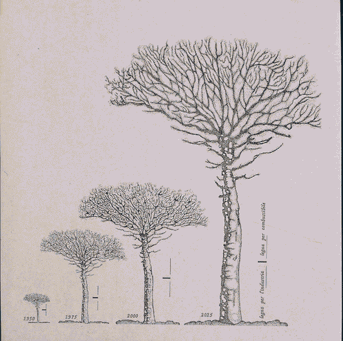 Image for XVIII Triennale - Mostre tematiche - Antropico/ Naturale - Disegno della crescita di un albero