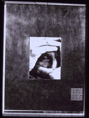 Image for XIX Triennale - Le partecipazioni internazionali - L'architettura della città - Sud Africa