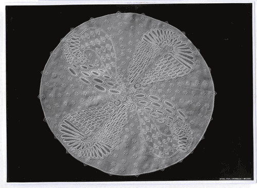 Image for XI Triennale - Mostra delle Produzioni d'arte - Sezione dei pizzi, ricami, alabastri - Centro ricamato su bisso - Nino Strada