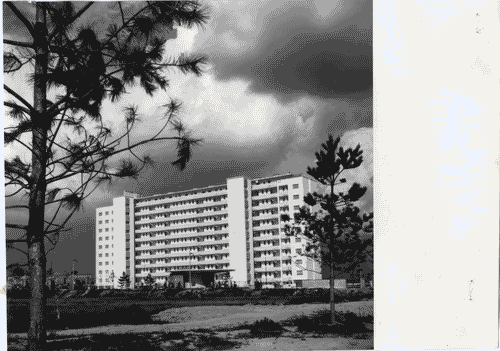 Image for IX Triennale - Quartiere sperimentale della Triennale di Milano (QT8) - Casa INA-Casa a 11 piani - Pietro Lingeri - Luigi Zuccoli